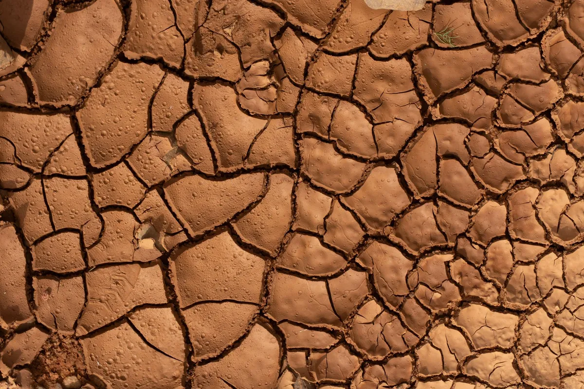 Pâte à modeler sèche : comment la récupérer (et quoi en faire)