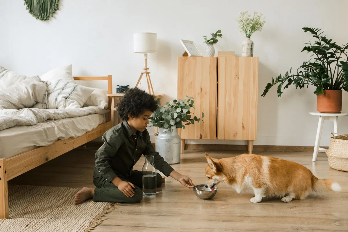 Quel premier animal pour un enfant ? Bien choisir, sans se tromper